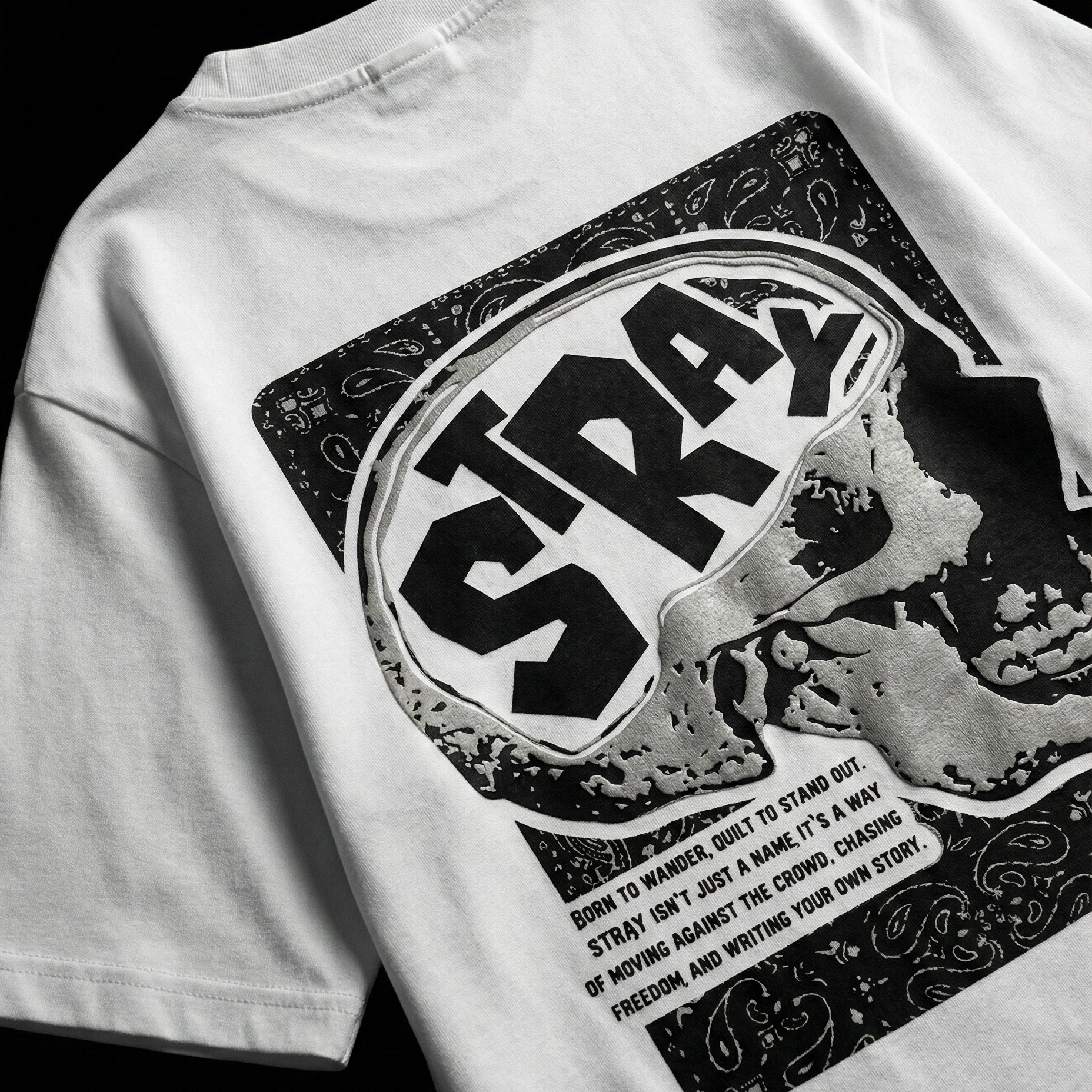Stray Oversize T-shirt